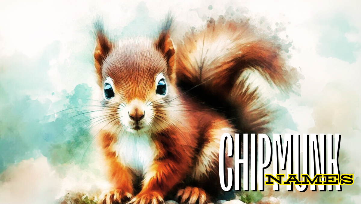 Cute Pet Names for Chipmunk