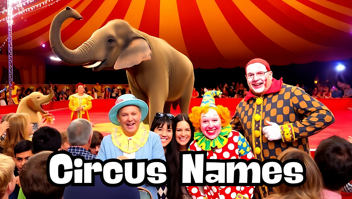 Best Names for Circus